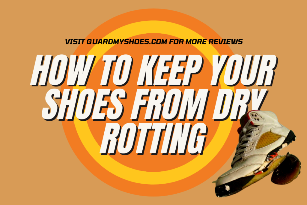 keep shoes from dry rotting